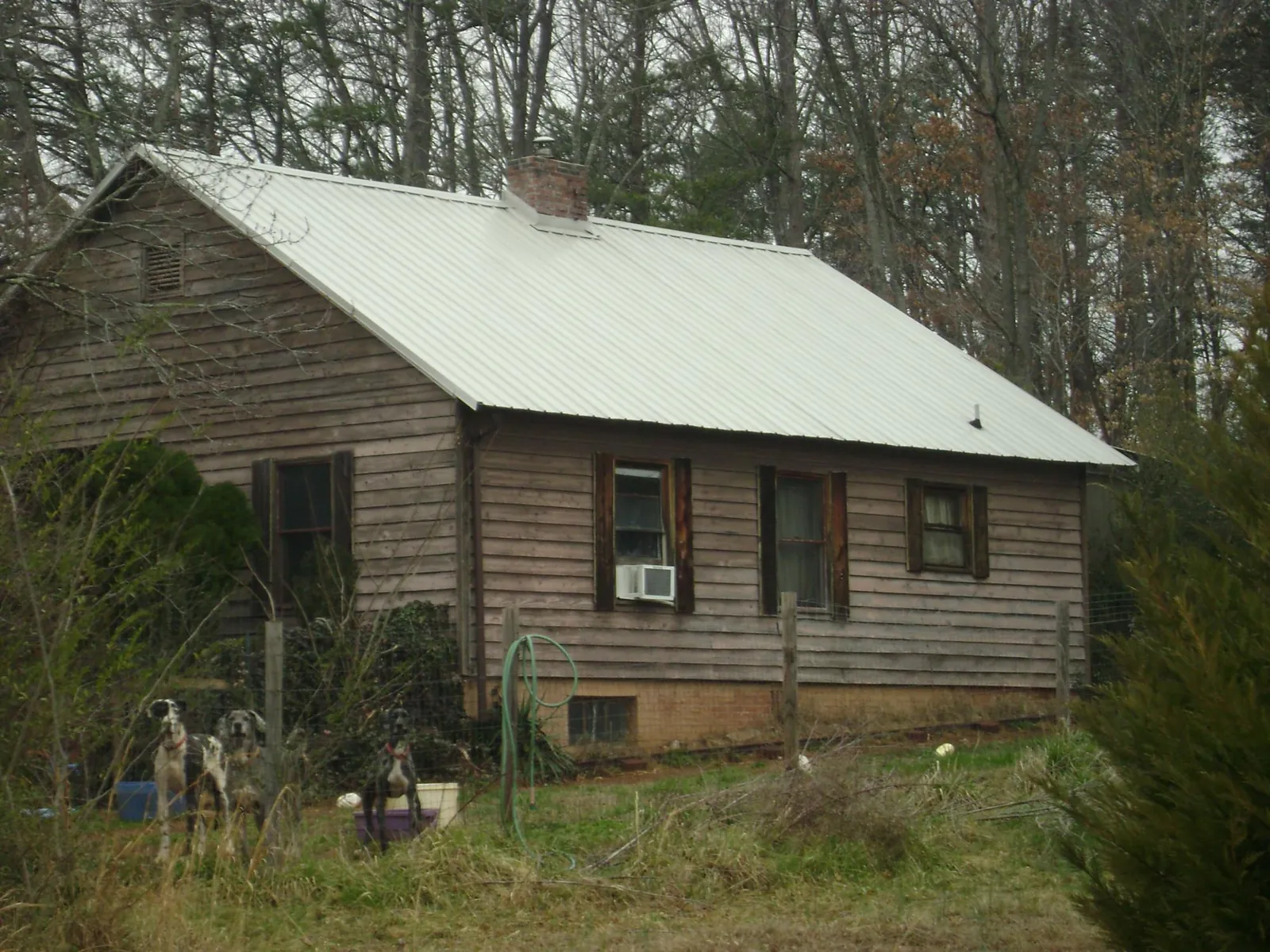 White metal roof on an old wood sided farmhouse, from a Asphalt Shingle Roof Repair job in Saint John